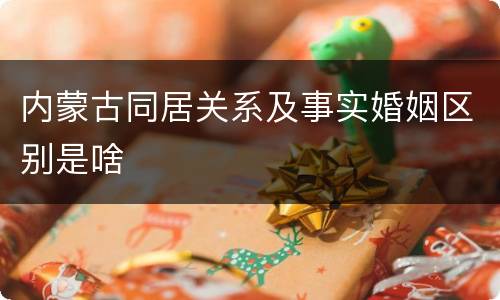 内蒙古同居关系及事实婚姻区别是啥