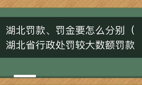 湖北罚款、罚金要怎么分别（湖北省行政处罚较大数额罚款是多少）