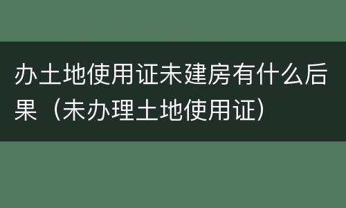 办土地使用证未建房有什么后果（未办理土地使用证）