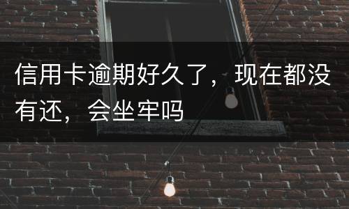 信用卡逾期好久了，现在都没有还，会坐牢吗