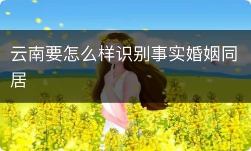 云南要怎么样识别事实婚姻同居