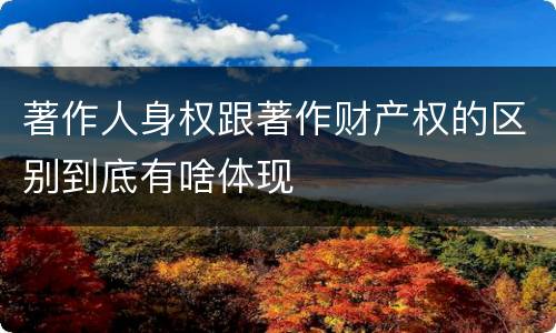 著作人身权跟著作财产权的区别到底有啥体现