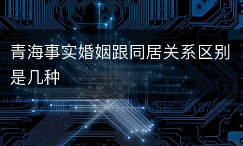 青海事实婚姻跟同居关系区别是几种