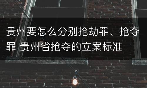 贵州要怎么分别抢劫罪、抢夺罪 贵州省抢夺的立案标准