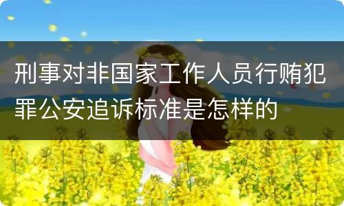 刑事对非国家工作人员行贿犯罪公安追诉标准是怎样的