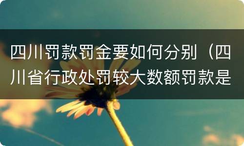 四川罚款罚金要如何分别（四川省行政处罚较大数额罚款是多少）