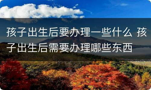孩子出生后要办理一些什么 孩子出生后需要办理哪些东西