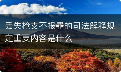 丢失枪支不报罪的司法解释规定重要内容是什么