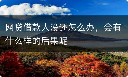 网贷借款人没还怎么办，会有什么样的后果呢