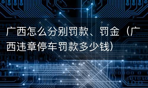 广西怎么分别罚款、罚金（广西违章停车罚款多少钱）