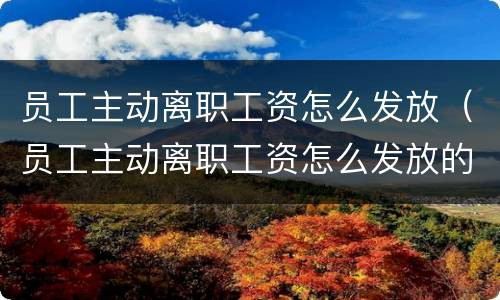 员工主动离职工资怎么发放（员工主动离职工资怎么发放的）