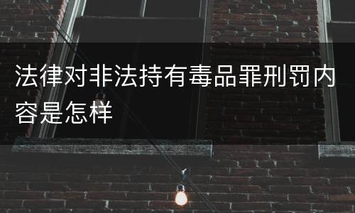 法律对非法持有毒品罪刑罚内容是怎样