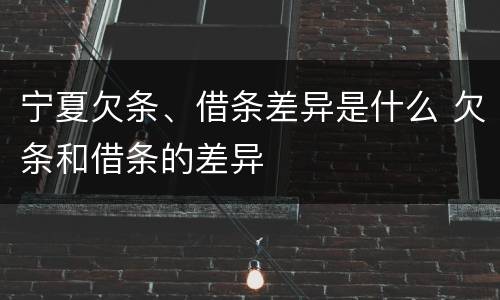 宁夏欠条、借条差异是什么 欠条和借条的差异