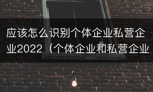 应该怎么识别个体企业私营企业2022（个体企业和私营企业）