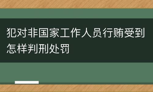 犯对非国家工作人员行贿受到怎样判刑处罚