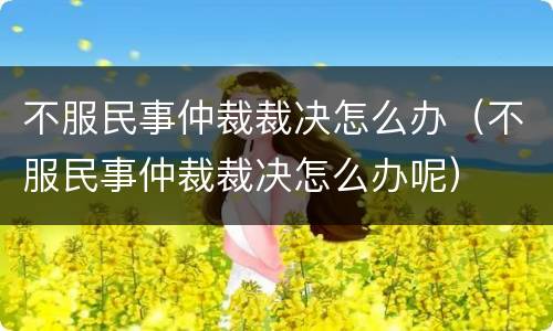 不服民事仲裁裁决怎么办（不服民事仲裁裁决怎么办呢）