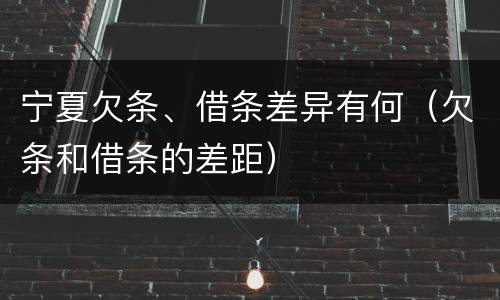宁夏欠条、借条差异有何（欠条和借条的差距）