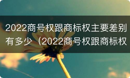 2022商号权跟商标权主要差别有多少（2022商号权跟商标权主要差别有多少种）