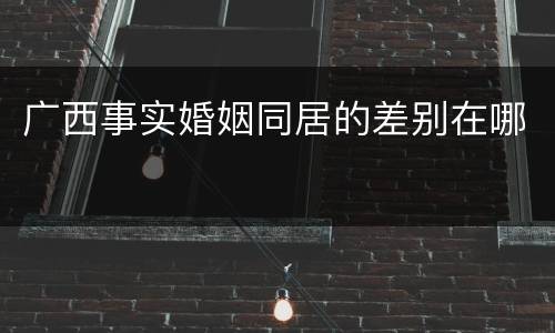 广西事实婚姻同居的差别在哪