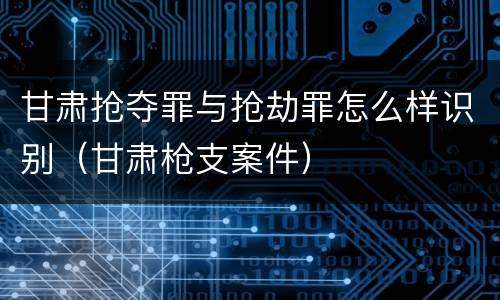 甘肃抢夺罪与抢劫罪怎么样识别（甘肃枪支案件）