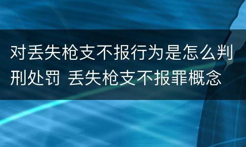 对丢失枪支不报行为是怎么判刑处罚 丢失枪支不报罪概念