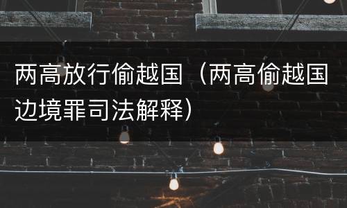 两高放行偷越国（两高偷越国边境罪司法解释）