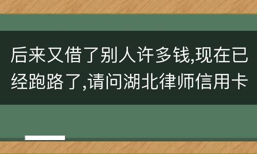 后来又借了别人许多钱,现在已经跑路了,请问湖北律师信用卡借钱不还会怎样呢