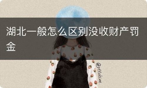 湖北一般怎么区别没收财产罚金