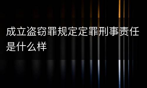 成立盗窃罪规定定罪刑事责任是什么样