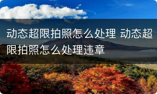 动态超限拍照怎么处理 动态超限拍照怎么处理违章