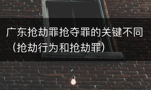 广东抢劫罪抢夺罪的关键不同（抢劫行为和抢劫罪）