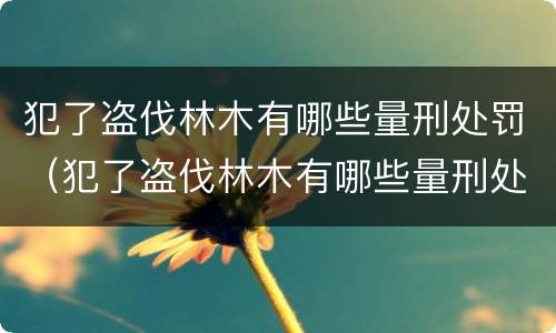犯了盗伐林木有哪些量刑处罚（犯了盗伐林木有哪些量刑处罚案例）