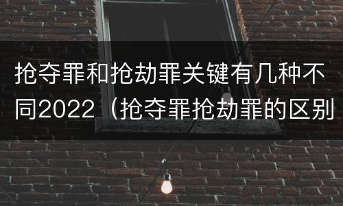 抢夺罪和抢劫罪关键有几种不同2022（抢夺罪抢劫罪的区别）