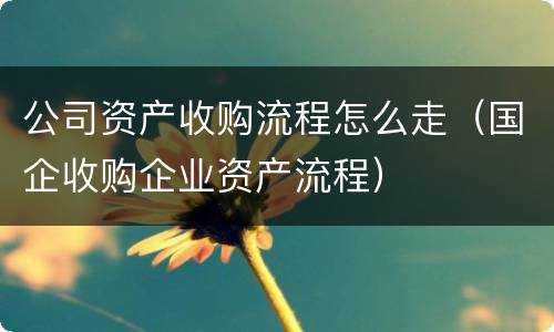 公司资产收购流程怎么走（国企收购企业资产流程）
