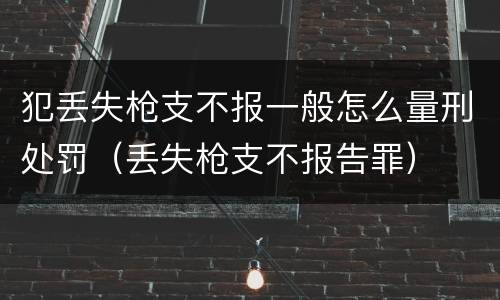 犯丢失枪支不报一般怎么量刑处罚（丢失枪支不报告罪）