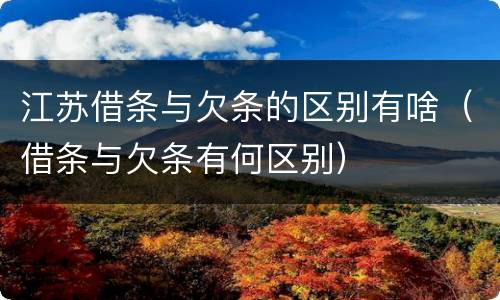 江苏借条与欠条的区别有啥（借条与欠条有何区别）