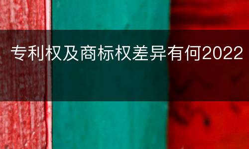 专利权及商标权差异有何2022