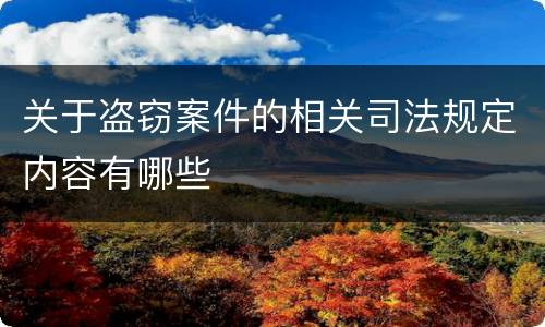 关于盗窃案件的相关司法规定内容有哪些