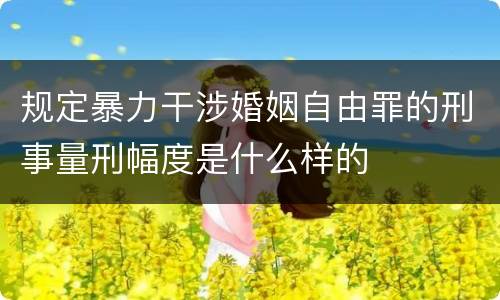 规定暴力干涉婚姻自由罪的刑事量刑幅度是什么样的