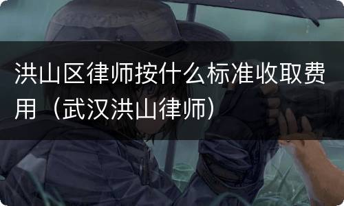 洪山区律师按什么标准收取费用（武汉洪山律师）
