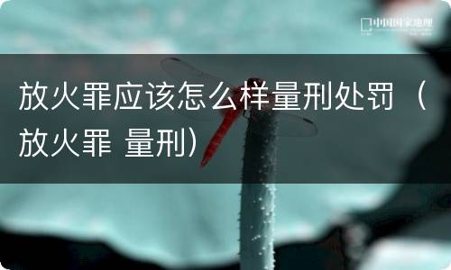 放火罪应该怎么样量刑处罚（放火罪 量刑）