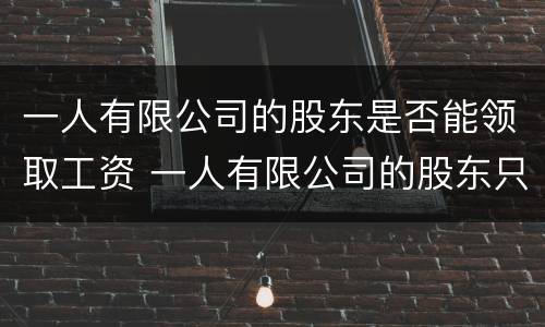 一人有限公司的股东是否能领取工资 一人有限公司的股东只能是自然人吗