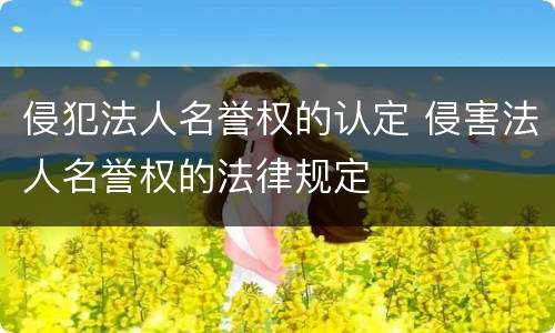 侵犯法人名誉权的认定 侵害法人名誉权的法律规定