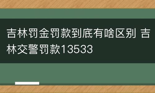 吉林罚金罚款到底有啥区别 吉林交警罚款13533