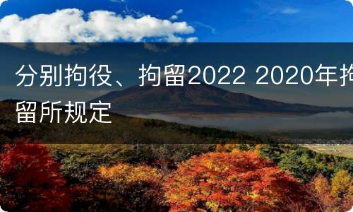 分别拘役、拘留2022 2020年拘留所规定