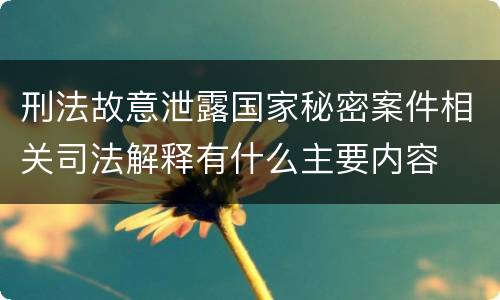 刑法故意泄露国家秘密案件相关司法解释有什么主要内容