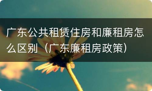 广东公共租赁住房和廉租房怎么区别（广东廉租房政策）