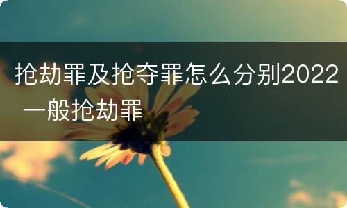 抢劫罪及抢夺罪怎么分别2022 一般抢劫罪