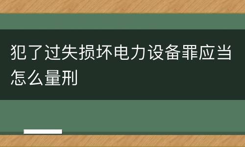 犯了过失损坏电力设备罪应当怎么量刑
