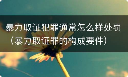 暴力取证犯罪通常怎么样处罚（暴力取证罪的构成要件）